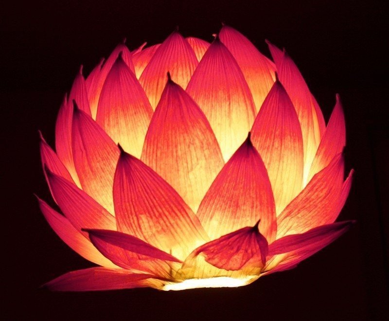 diy lotus lantern