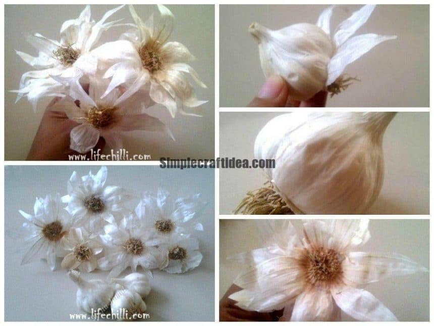 Creating beautiful flowers with garlic