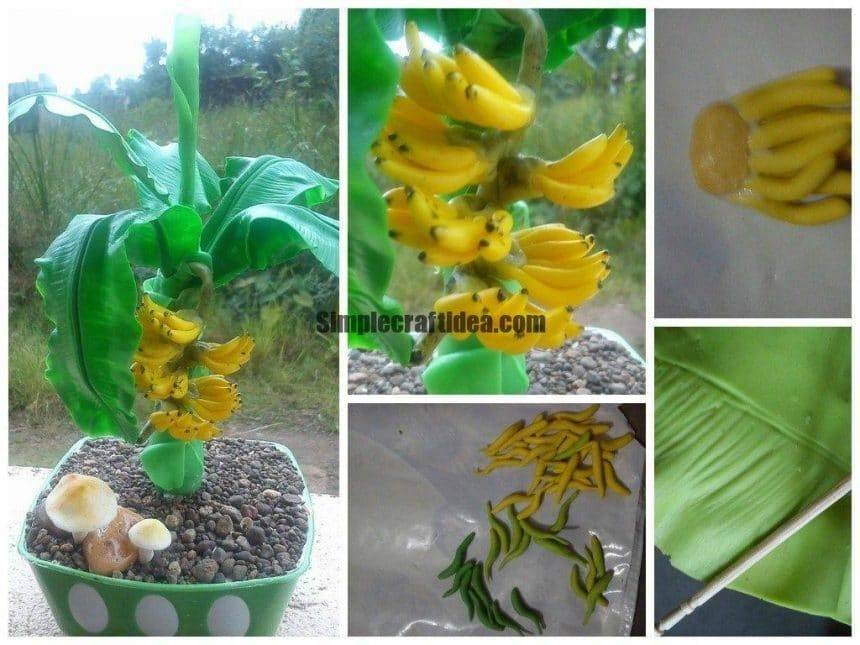 Banana plant making
