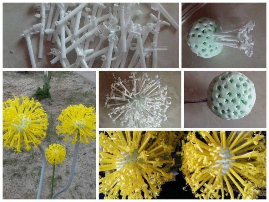 Dandelion from cocktail tubules