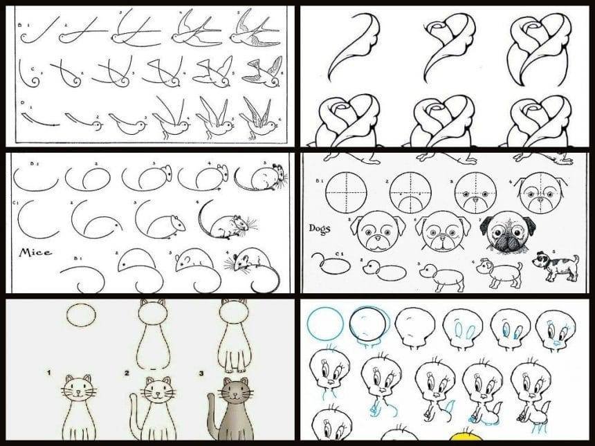 Simple ways that teaches you how to draw
