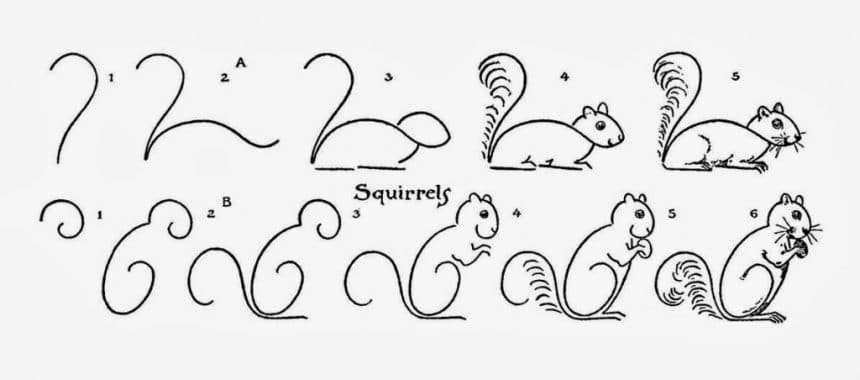 draw-squirrels-gfairysm