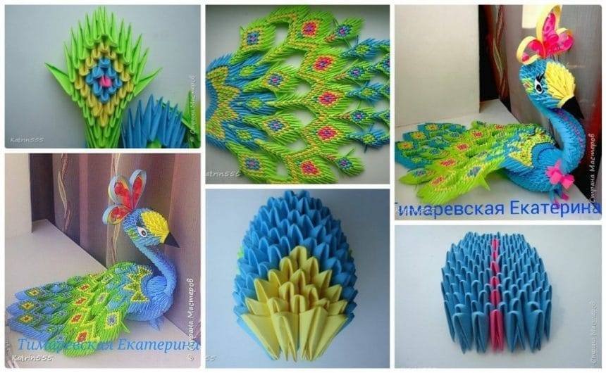 How to make origami peacock