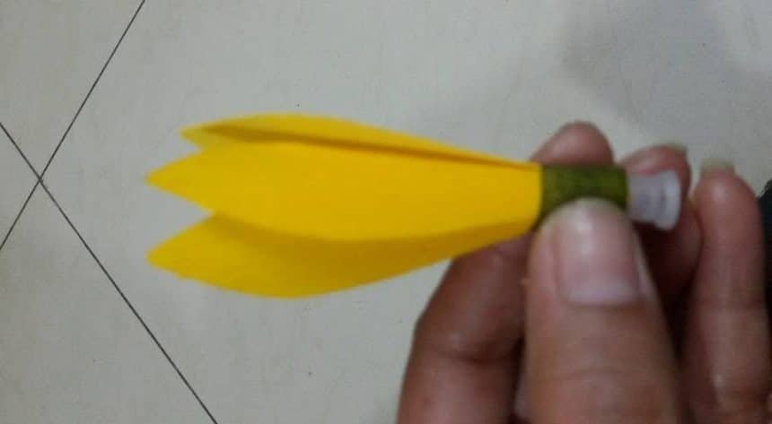 golden champa flower(10)