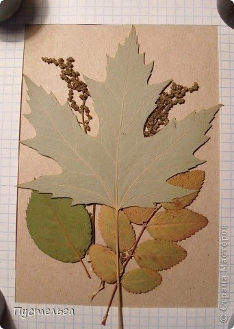 Leaf Painting (18)