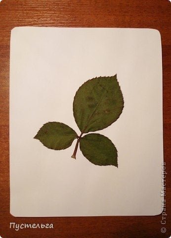 Leaf Painting (5)