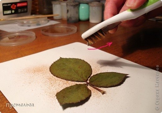 Leaf Painting (7)