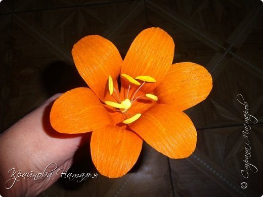 flower (34)