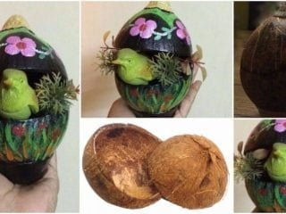 coconut shell showpiece