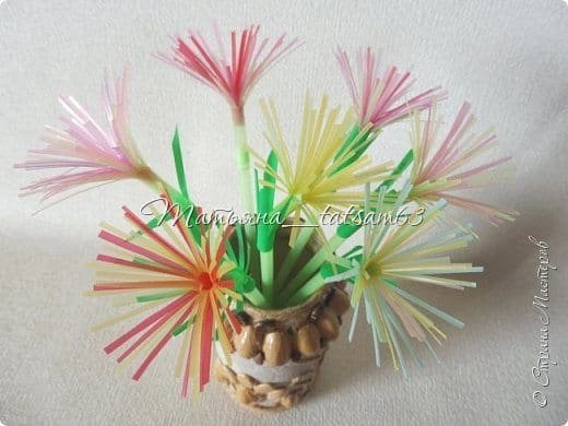 fireworks flower from plastic tubes