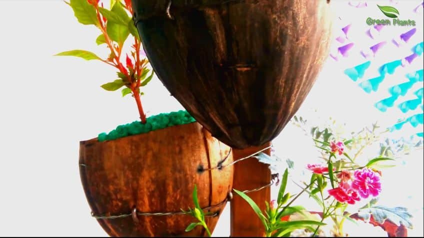 How to make natural looking flower pot from coconut husk 