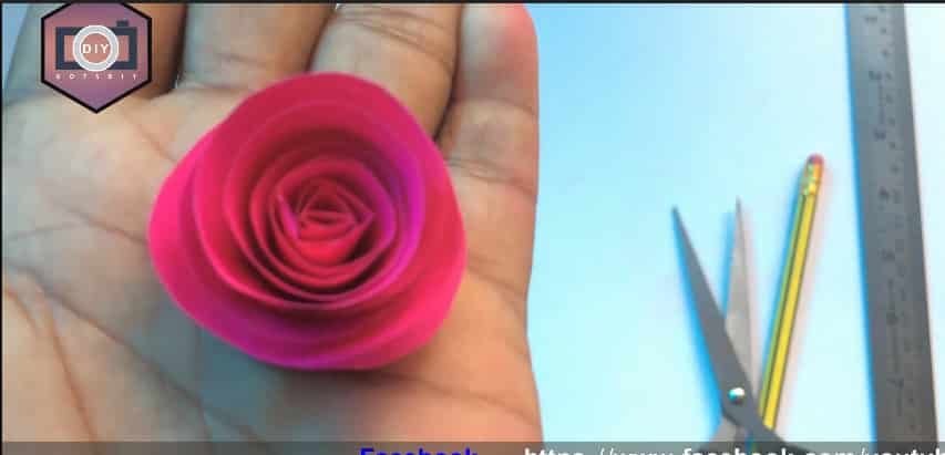 rose flower with frame