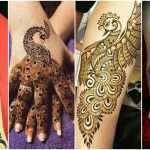 peacock mehndi design 2017 peacock mehndi design 2018 peacock mehndi design for back hand peacock feather mehndi design mehndi peacock henna peacock mehndi tattoos full hand peacock mehndi designs peacock mehndi theme