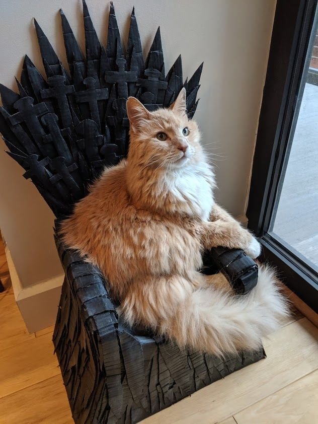 Iron Throne Cat Bed