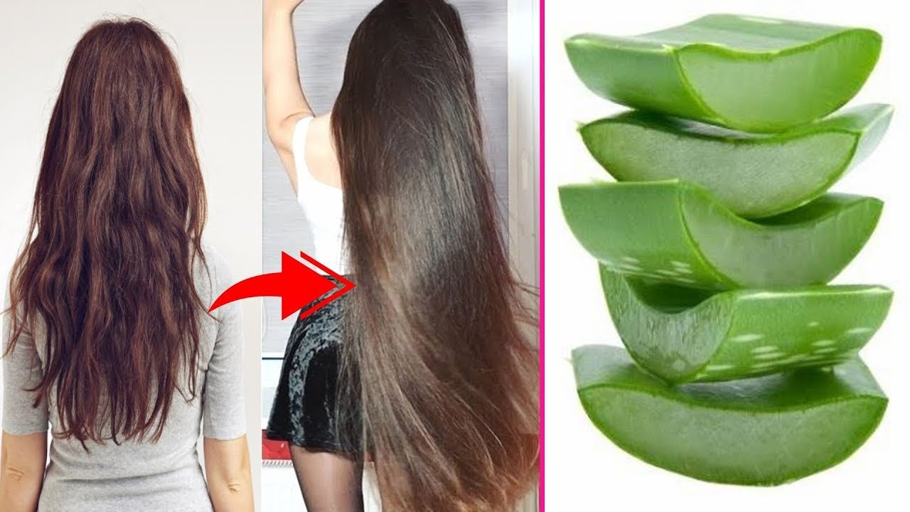 How to grow long and thicken hair faster with aloevera gel - Simple Craft  Ideas