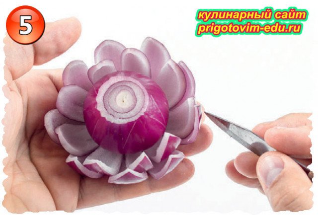lotus flower from red onions