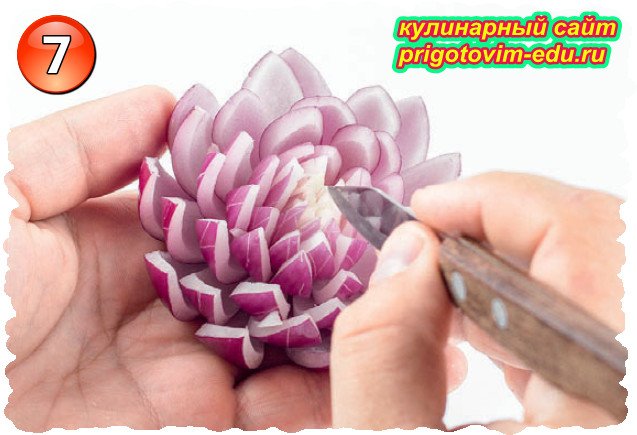 lotus flower from red onions