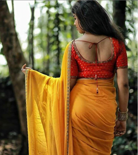 Indian latest fabulous saree blouse designs