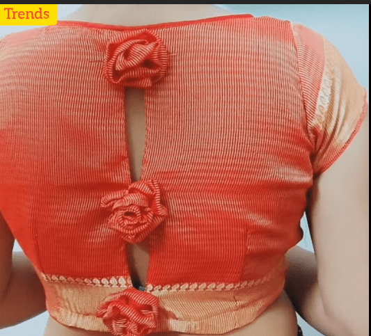 Trendy blouse back neck designs for silk sarees - Simple Craft Idea