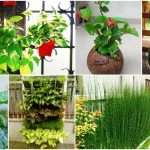 Garden design ideas 1 2