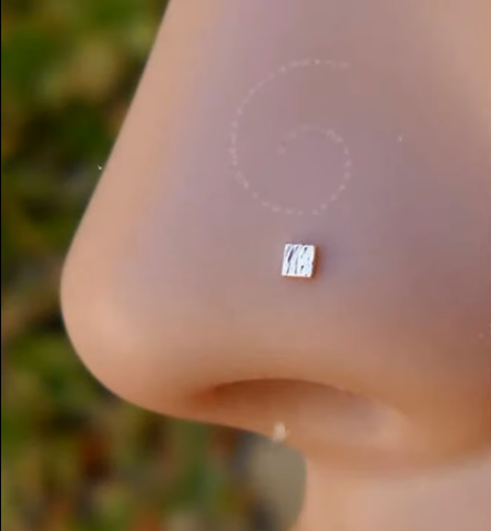 nose pin stud design