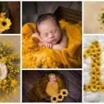 New born photography in yellow color 7 1