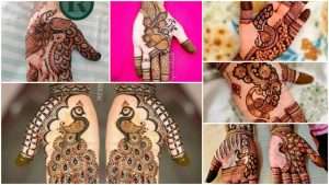 18 Peacock Mehandi Designs: Unveil Intricate Artistry