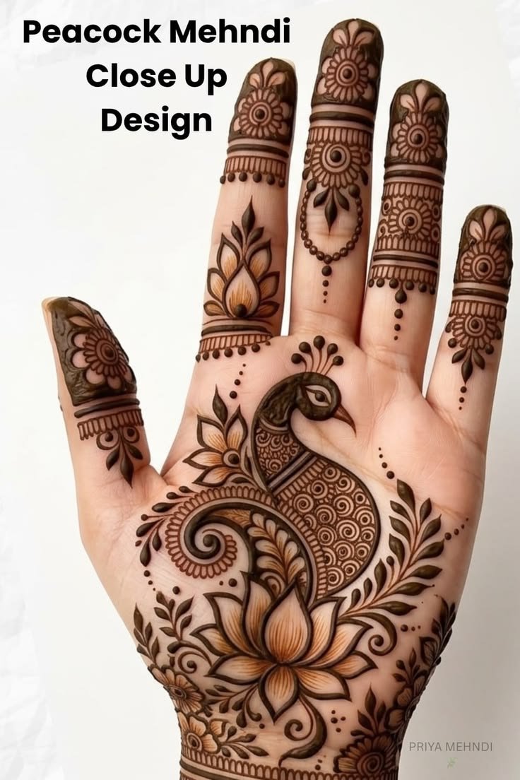 Peacock Mehndi Design: A Symbol of Beauty and Tradition Peacock Mehndi Design 2